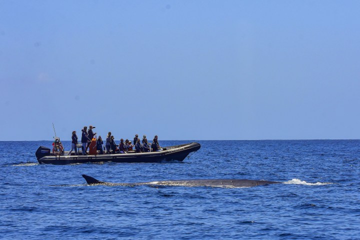 a group of people on a boat in a body of water