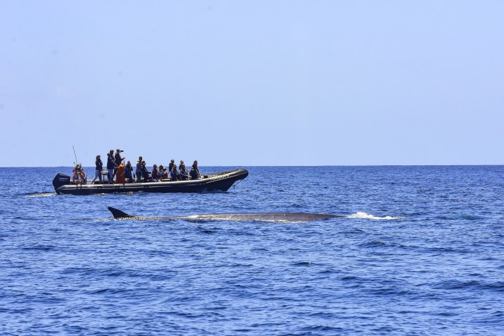 a small boat in a body of water