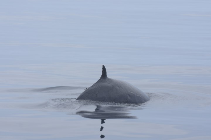 a large body of water
