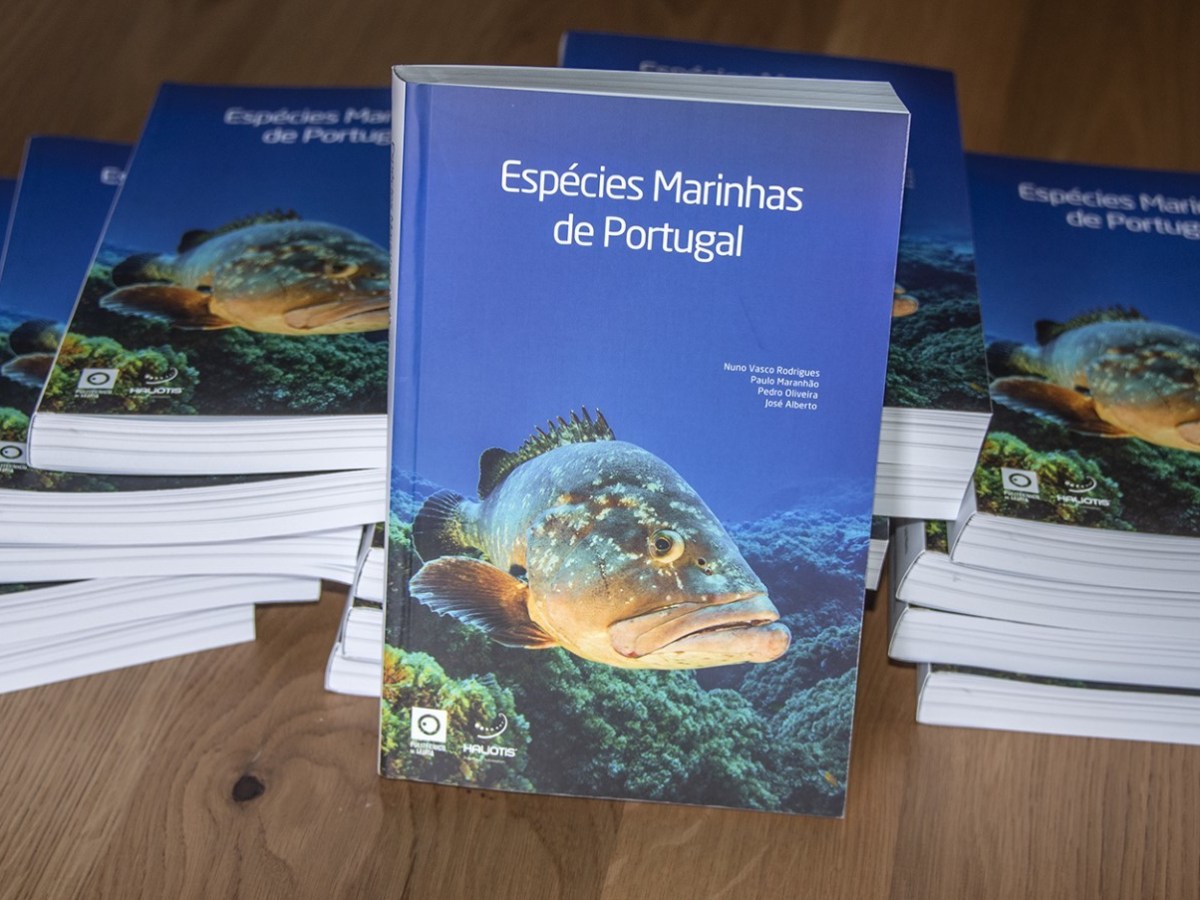 a book sitting on top of a wooden table