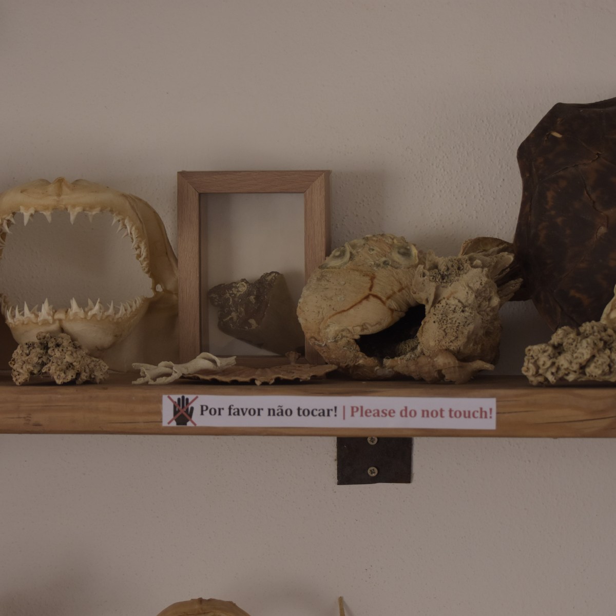 a bunch of stuffed animals in a box