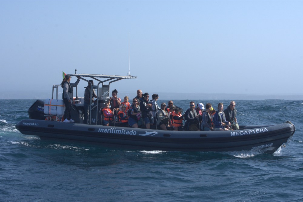 Guests on a RIB