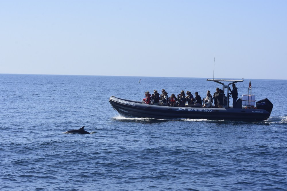 RIB at sea