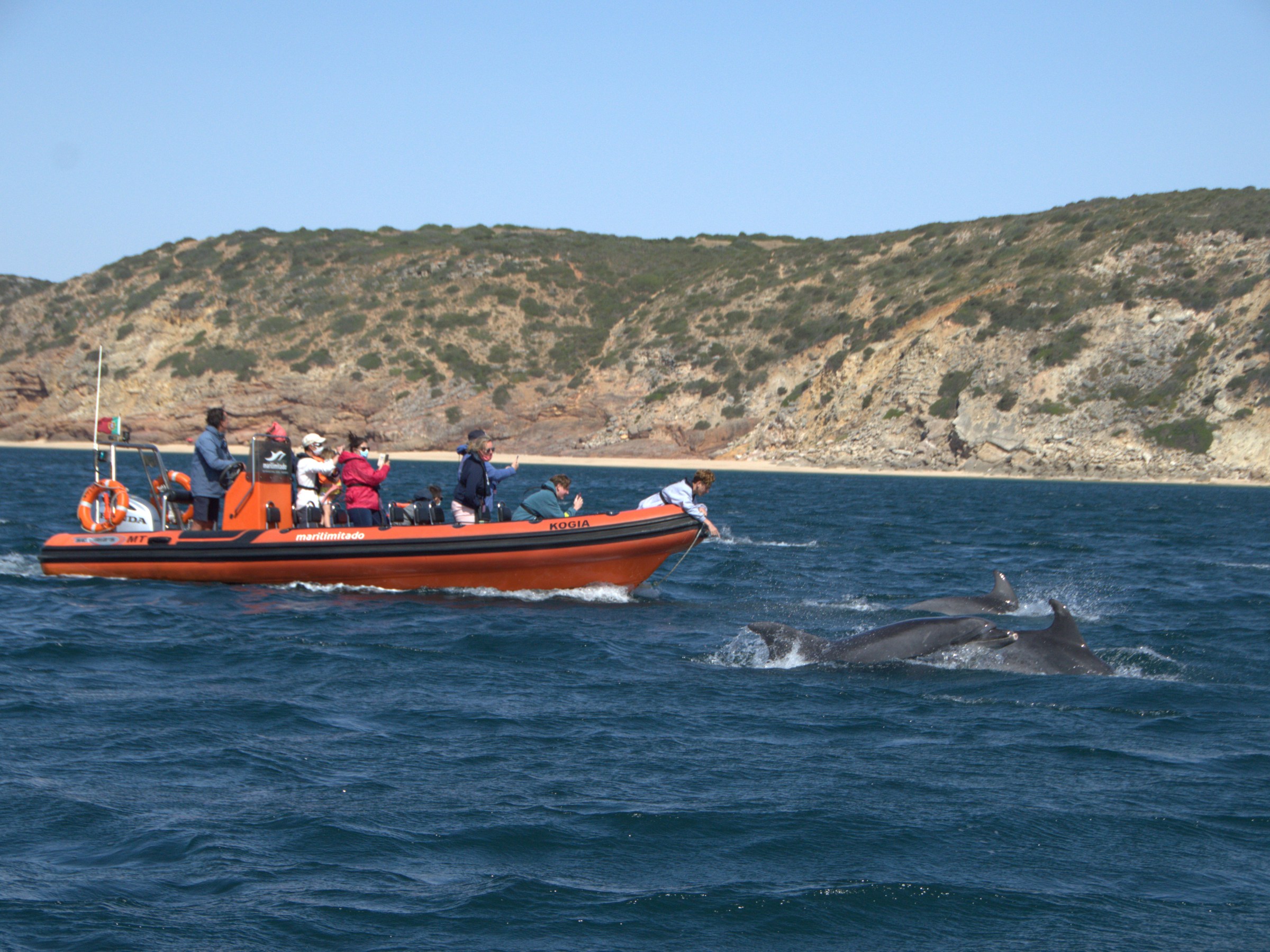 People in an orange boat watching dolphins swimming in the ocean near rocky coastline.