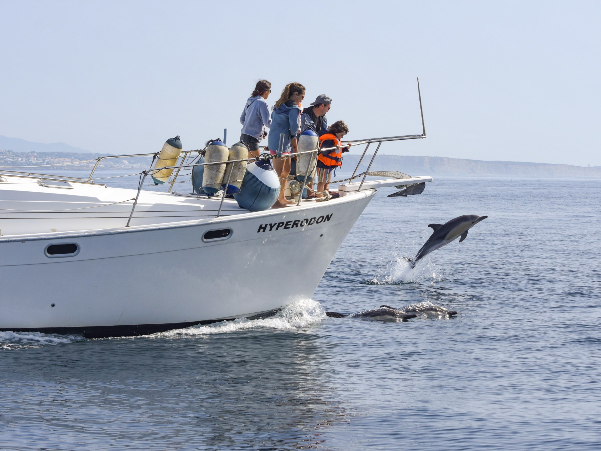 People on boat watch dolphins jumping in ocean near coastline.